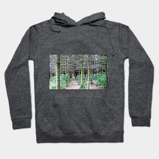 The path through the trees Hoodie